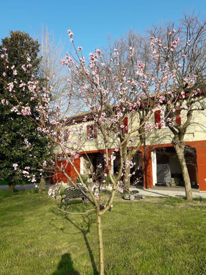 Tenuta Crescentini-Vallemura ,Appartamenti Con Entrata Indipendente Сан-Дона-ди-Пьяве Экстерьер фото