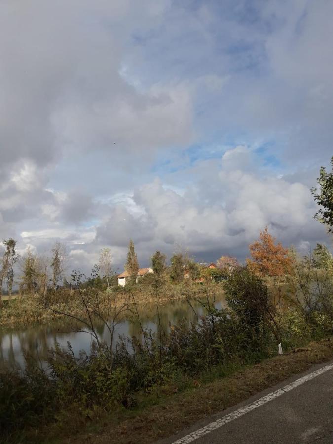 Tenuta Crescentini-Vallemura ,Appartamenti Con Entrata Indipendente Сан-Дона-ди-Пьяве Экстерьер фото