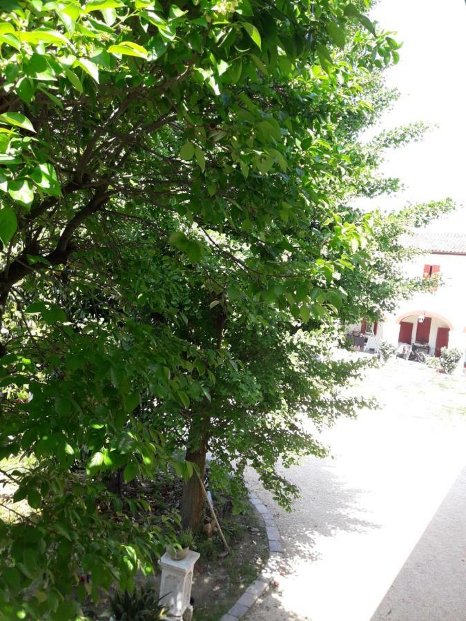 Tenuta Crescentini-Vallemura ,Appartamenti Con Entrata Indipendente Сан-Дона-ди-Пьяве Экстерьер фото