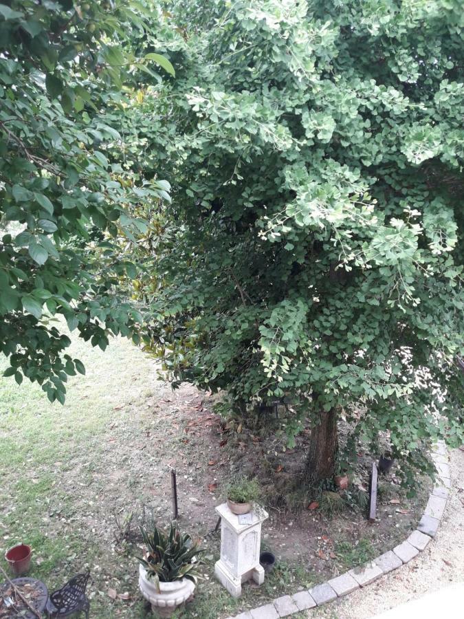 Tenuta Crescentini-Vallemura ,Appartamenti Con Entrata Indipendente Сан-Дона-ди-Пьяве Экстерьер фото