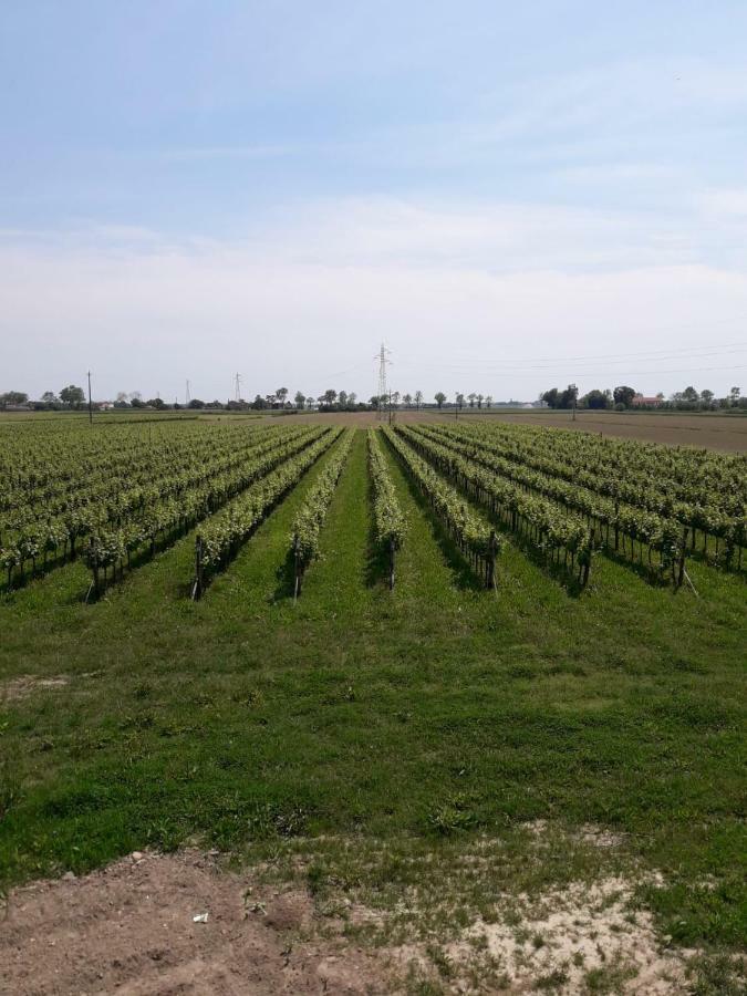 Tenuta Crescentini-Vallemura ,Appartamenti Con Entrata Indipendente Сан-Дона-ди-Пьяве Экстерьер фото
