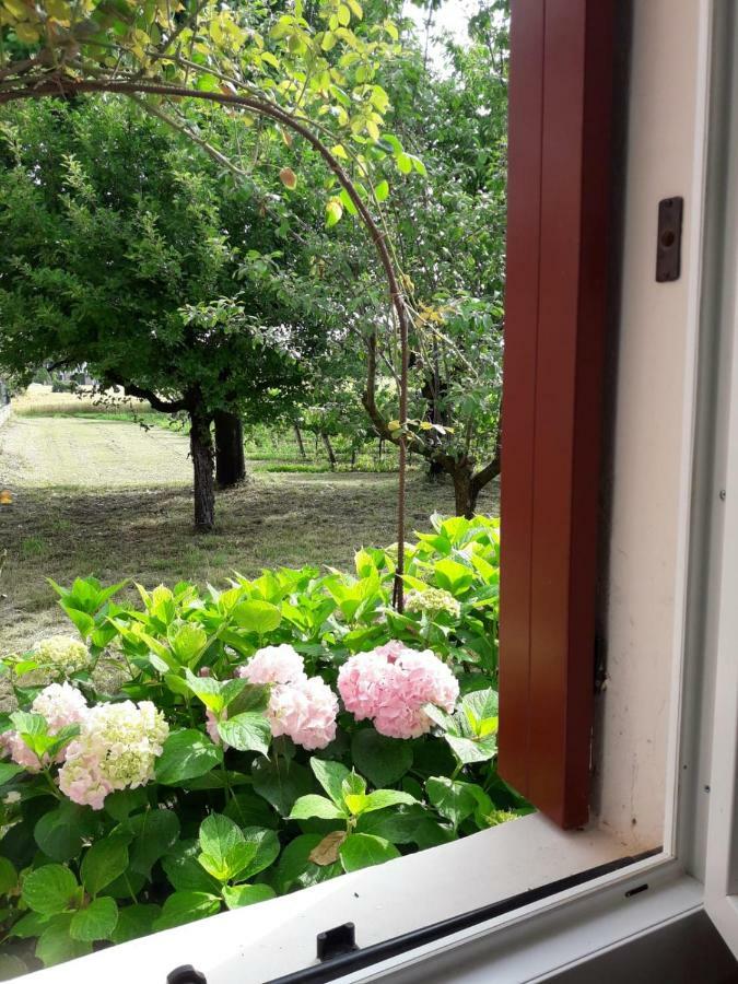 Tenuta Crescentini-Vallemura ,Appartamenti Con Entrata Indipendente Сан-Дона-ди-Пьяве Экстерьер фото