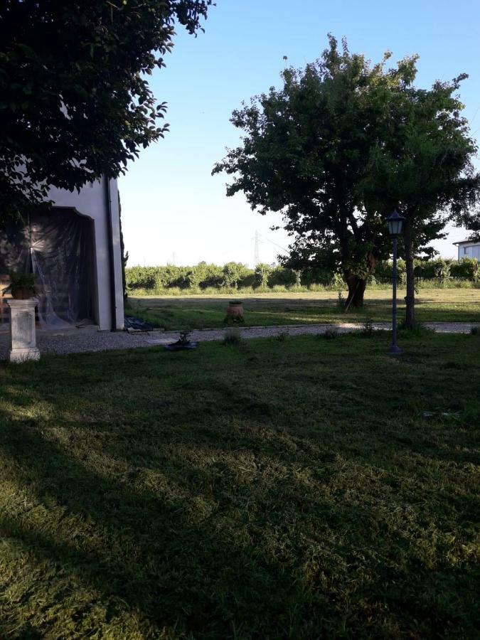 Tenuta Crescentini-Vallemura ,Appartamenti Con Entrata Indipendente Сан-Дона-ди-Пьяве Экстерьер фото