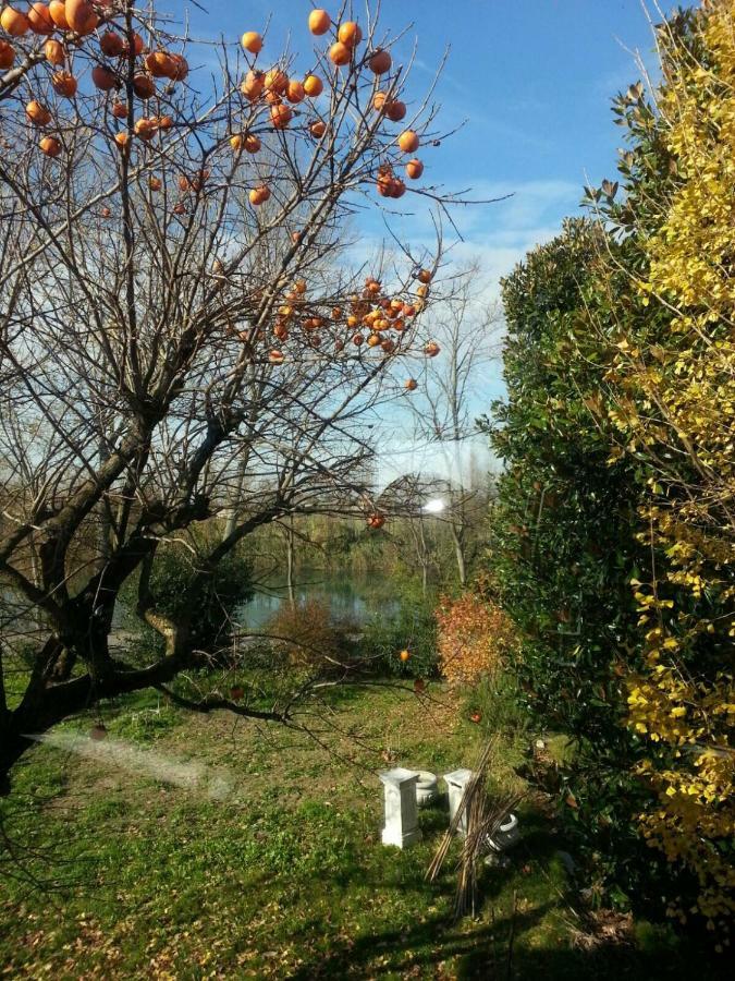 Tenuta Crescentini-Vallemura ,Appartamenti Con Entrata Indipendente Сан-Дона-ди-Пьяве Экстерьер фото
