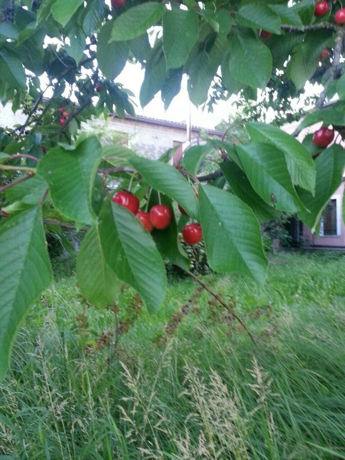 Tenuta Crescentini-Vallemura ,Appartamenti Con Entrata Indipendente Сан-Дона-ди-Пьяве Экстерьер фото