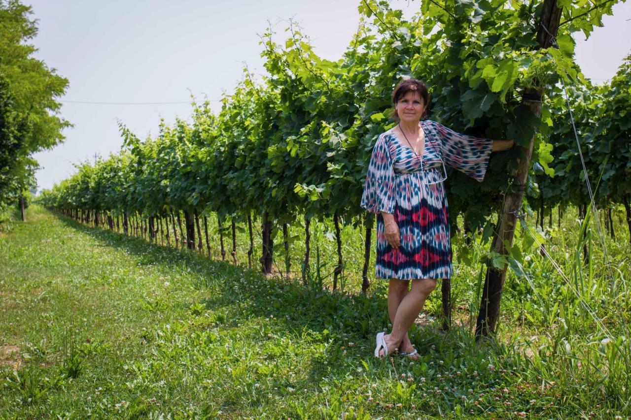 Tenuta Crescentini-Vallemura ,Appartamenti Con Entrata Indipendente Сан-Дона-ди-Пьяве Экстерьер фото